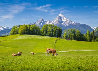 Austrijos Alpės 5 d.