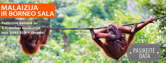 Leiskitės į nuotykius po laukinę MALAIZIJOS gamtą bei BORNEO salą! 16 d. kelionė su lietuviškai kalbančiu vadovu bei 4 d. poilsiu paplūdimyje – nuo 1995 EUR + skrydis! Išvykimas: 2019 m. kovo 8 d.