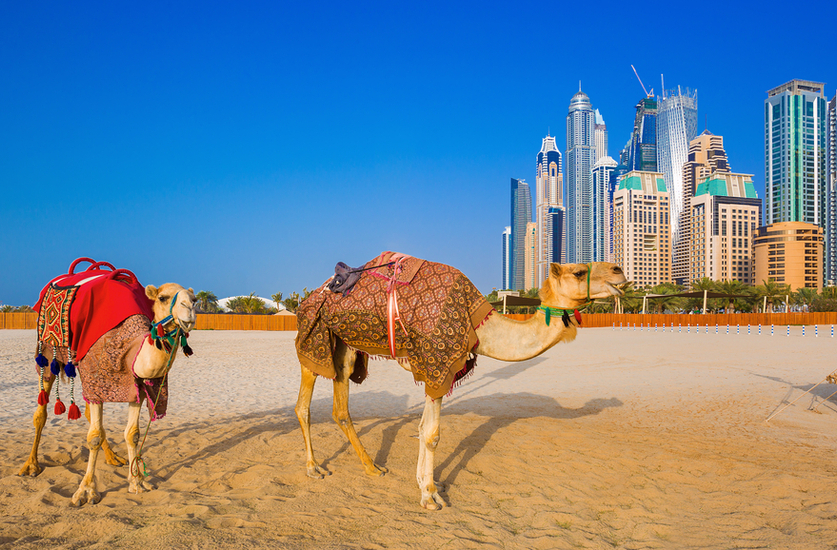Kelionės Poilsinė kelionė: Jungtiniai Arabų Emyratai - Dubajus aprašymas