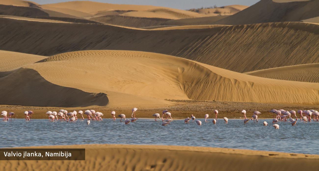 Afrikos Gamta Dykumos Ir Gentys Namibija Ir Ziupsnelis Par Egzotinė Kelionė Lėktuvu į Namibija